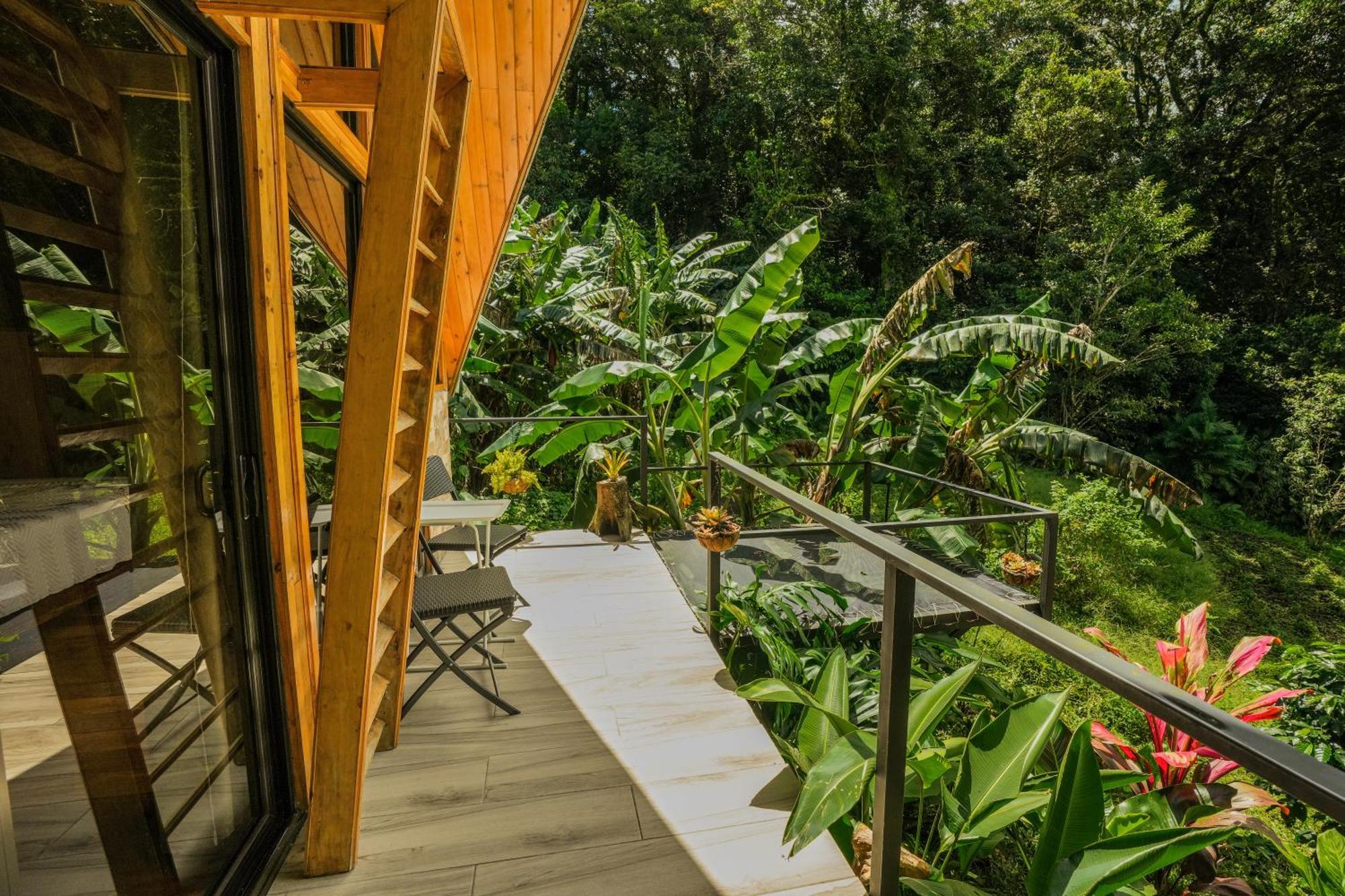 Tityra Lodge モンテベルデ エクステリア 写真