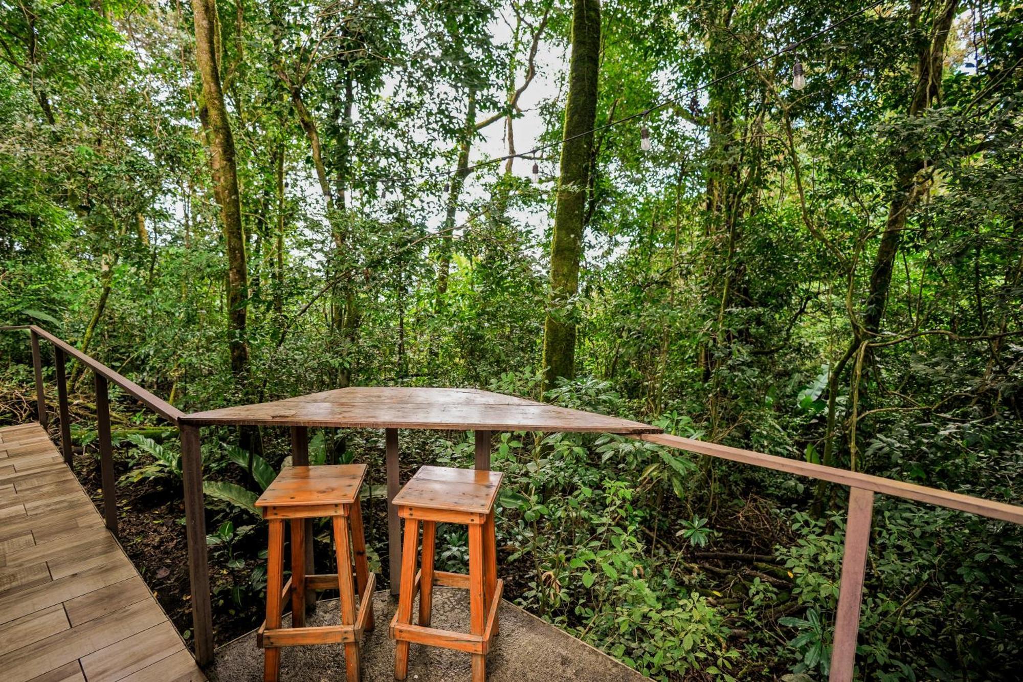 Tityra Lodge モンテベルデ エクステリア 写真