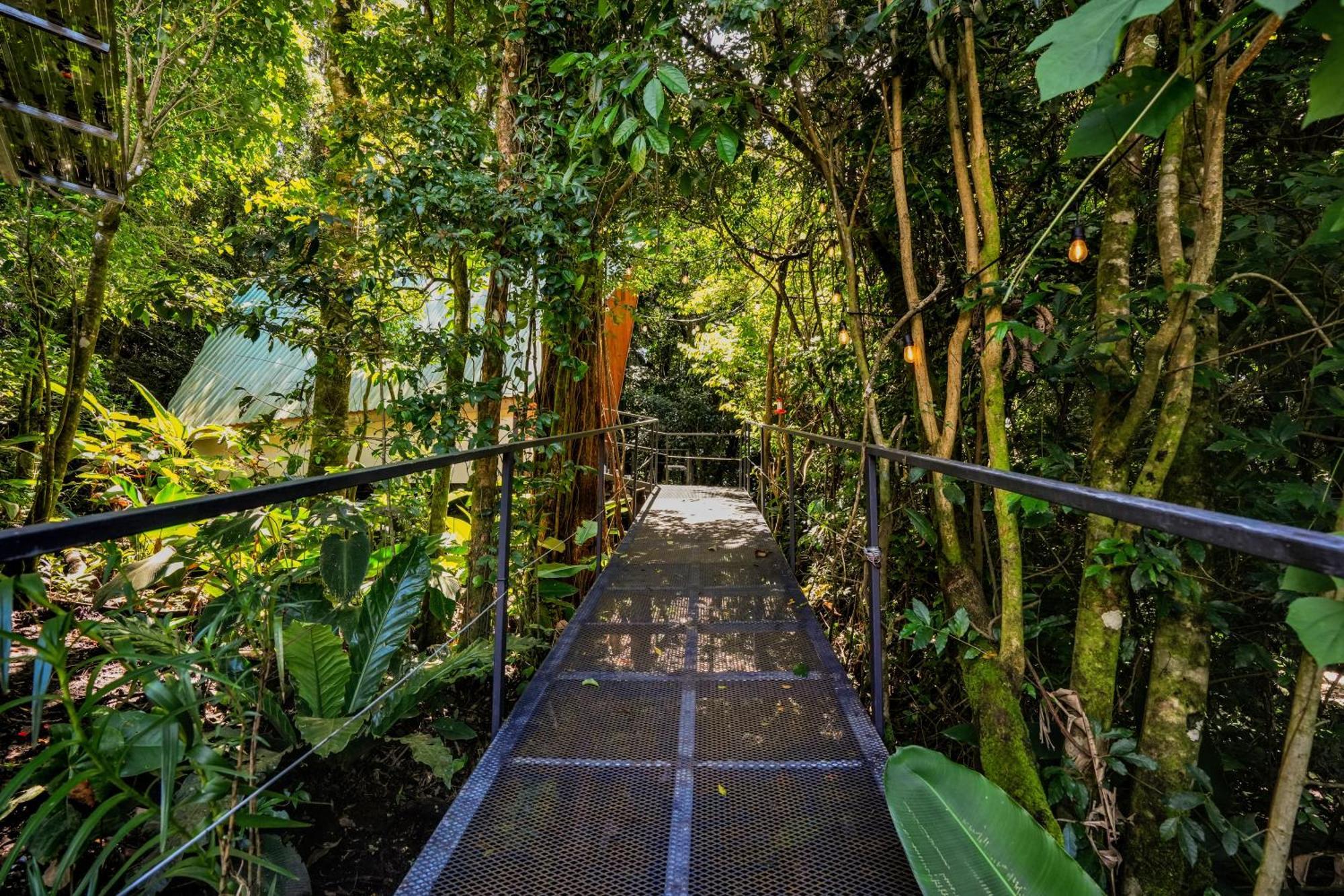 Tityra Lodge モンテベルデ エクステリア 写真