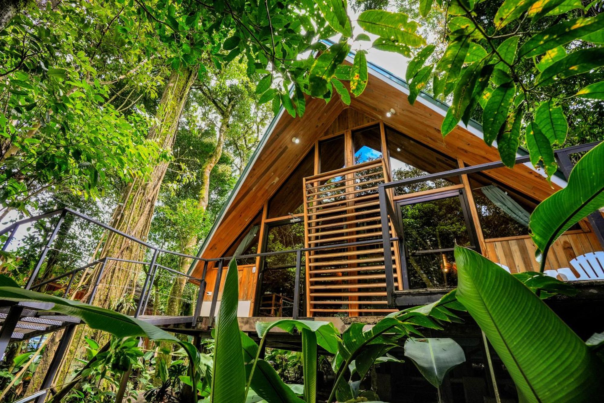 Tityra Lodge モンテベルデ エクステリア 写真