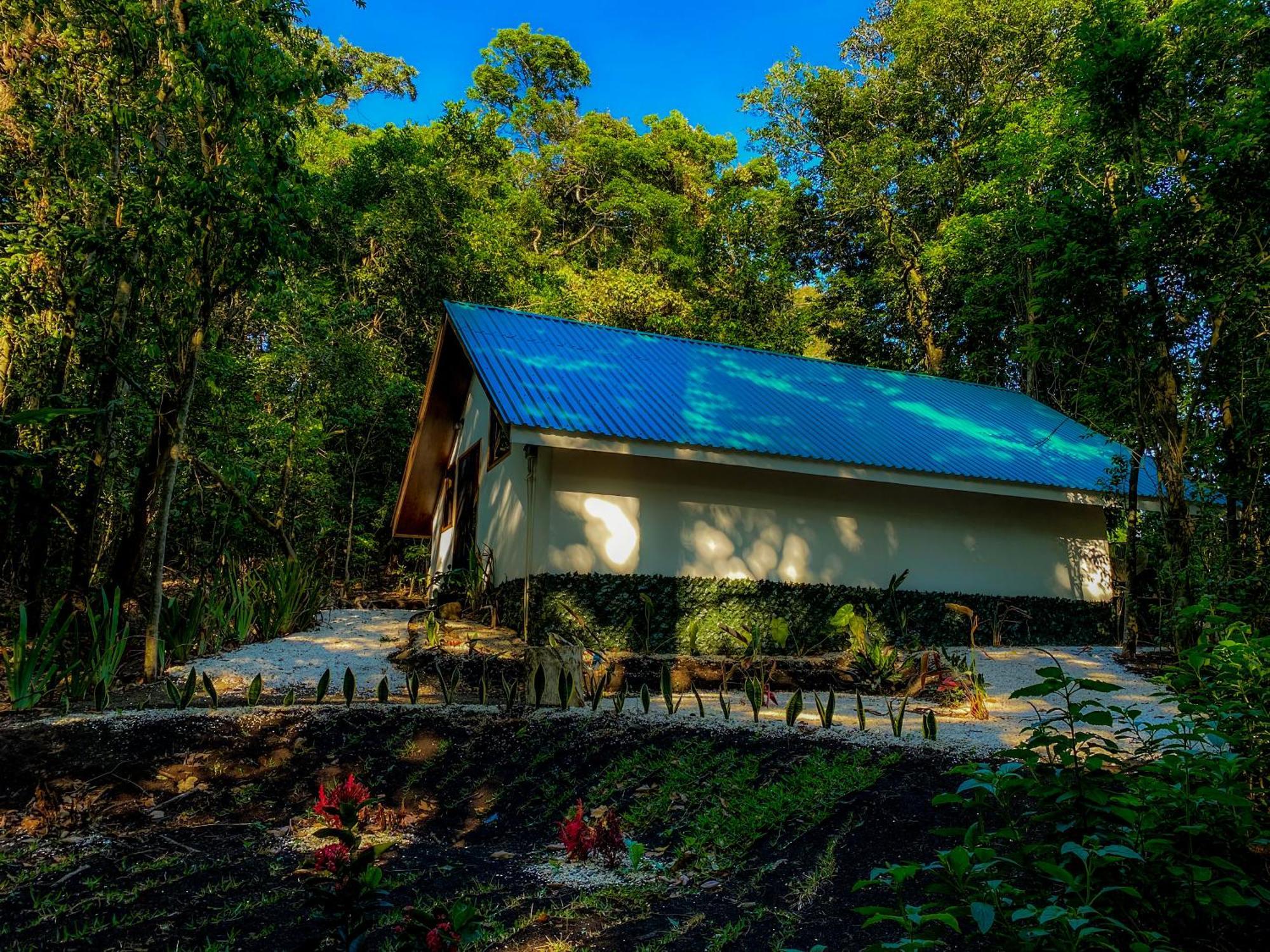Tityra Lodge モンテベルデ エクステリア 写真